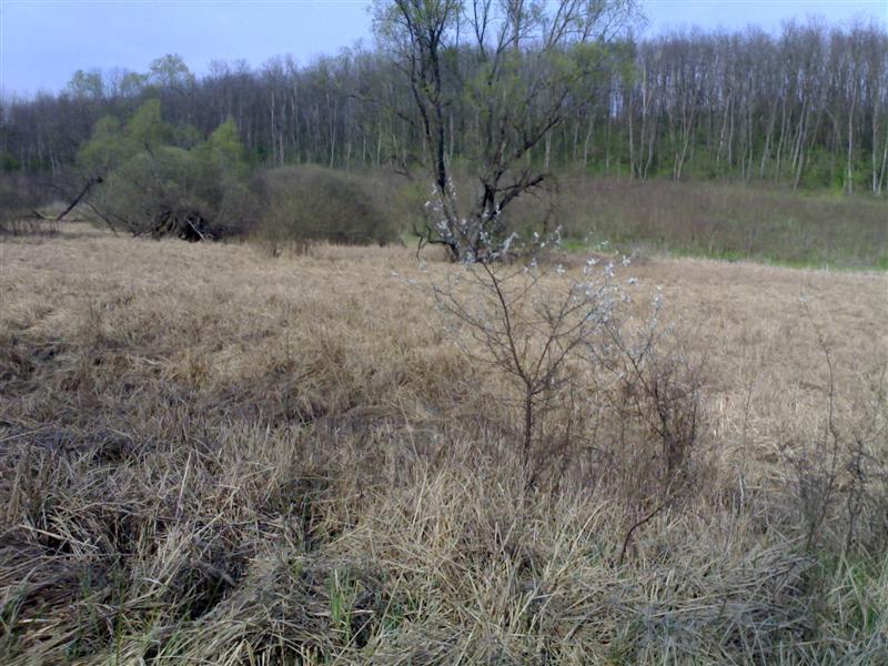 200704091756 .jpg